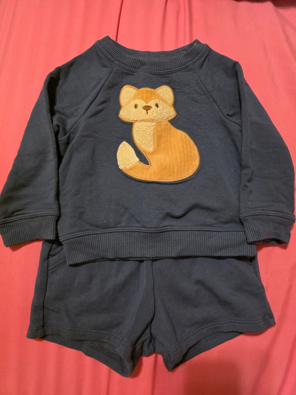 Fox Sweat Set